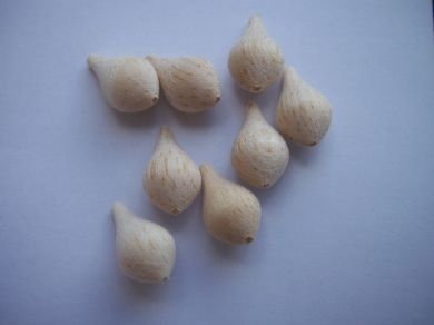 pear shaped balsa body