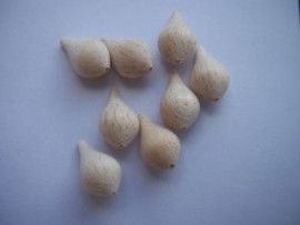 0.8g pear balsa bodes  1mm bore(8)