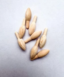 0.2g skittle balsa bodies 0.8 bore (8)