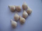 pear shaped balsa bodies 0.3g(8)